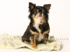 img_0041-copy