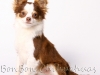 img_0058-copy