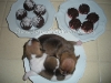 dscn0796