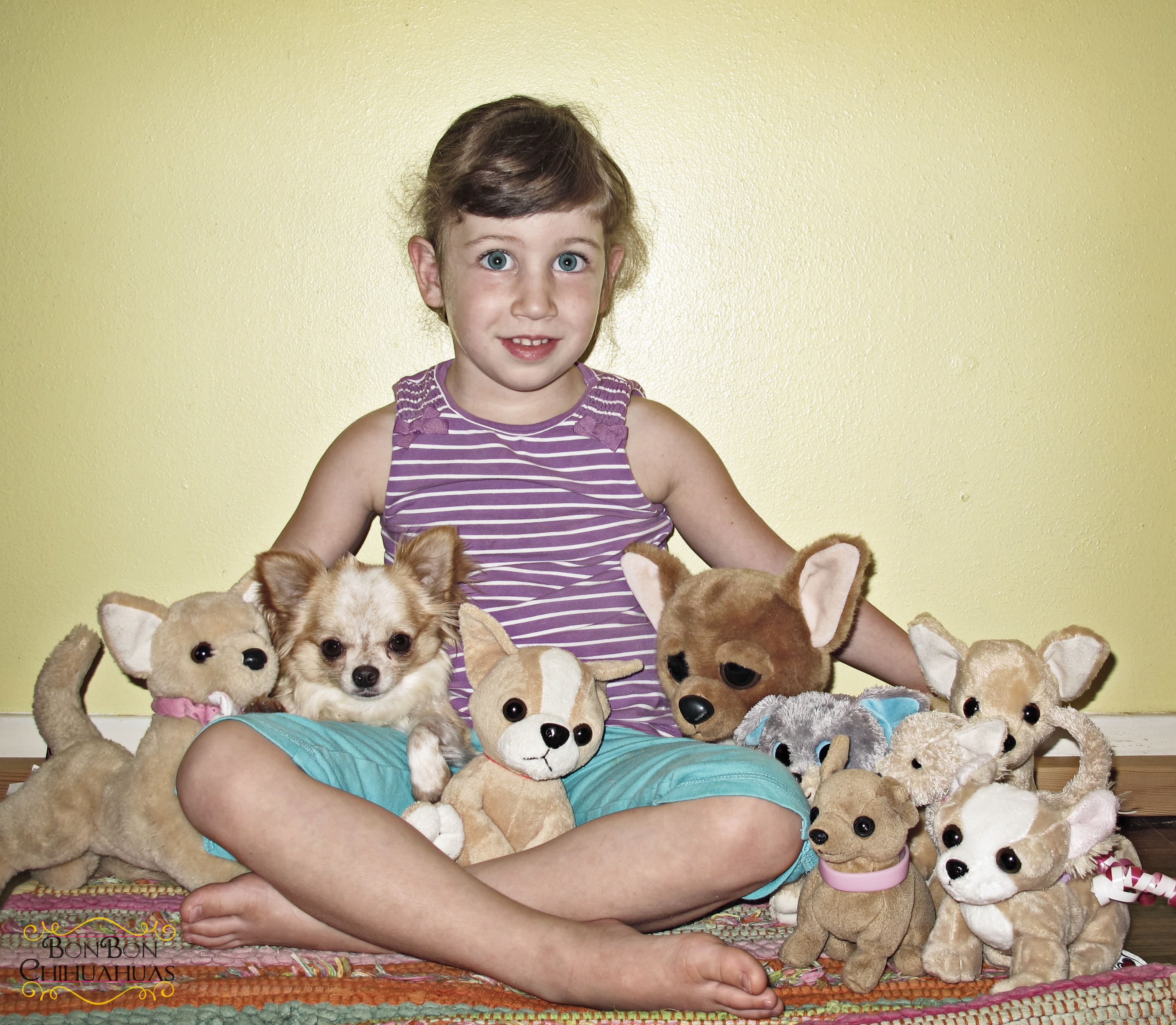 STUFFEDDOGS2